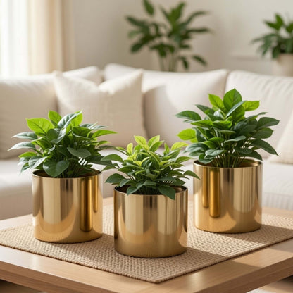 Mini Table-top Metal Planter, Set (Pot Only)