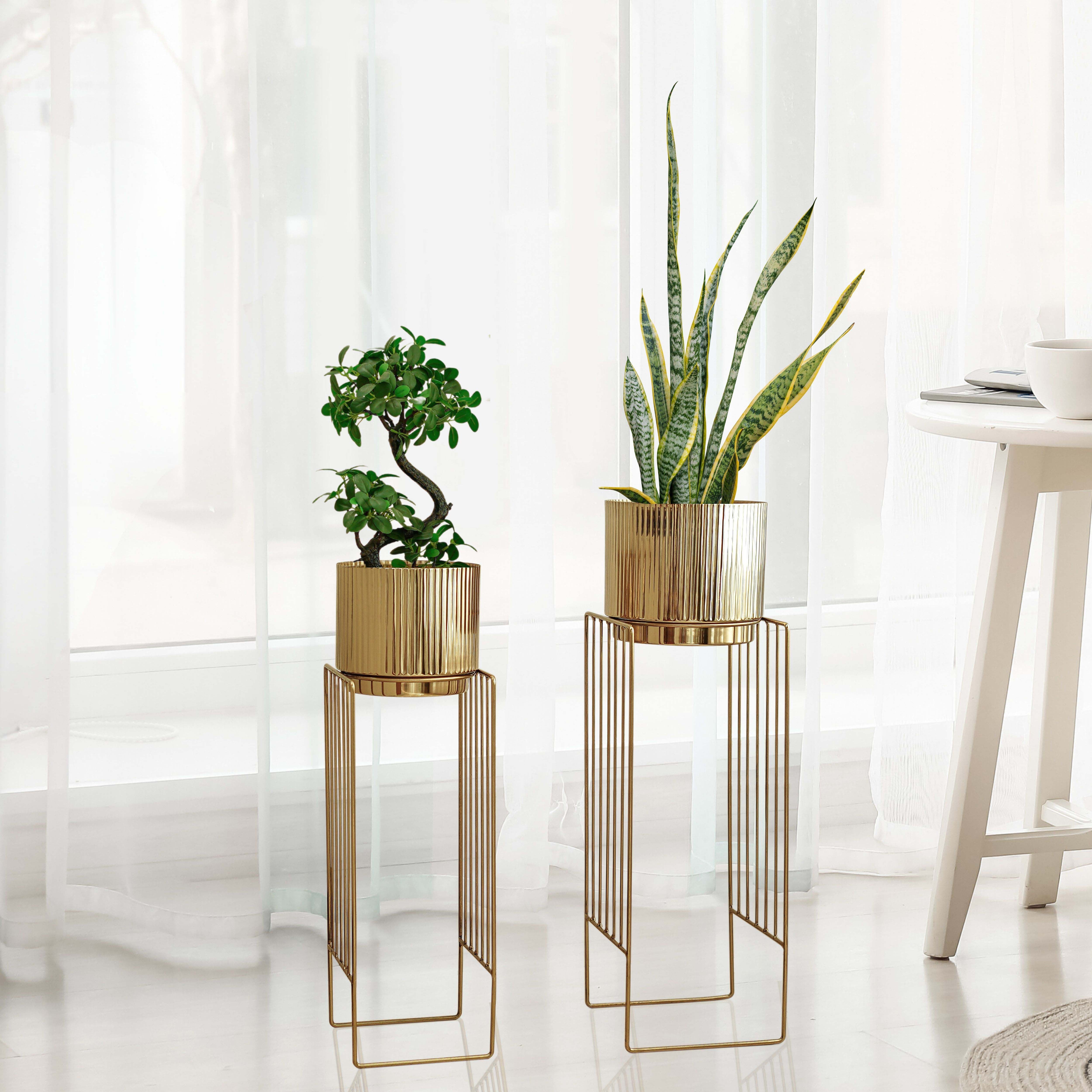 grovemade Wood Planter Tall short セット grovemade Wood Planter Tall short セット grovemade Wood Planter