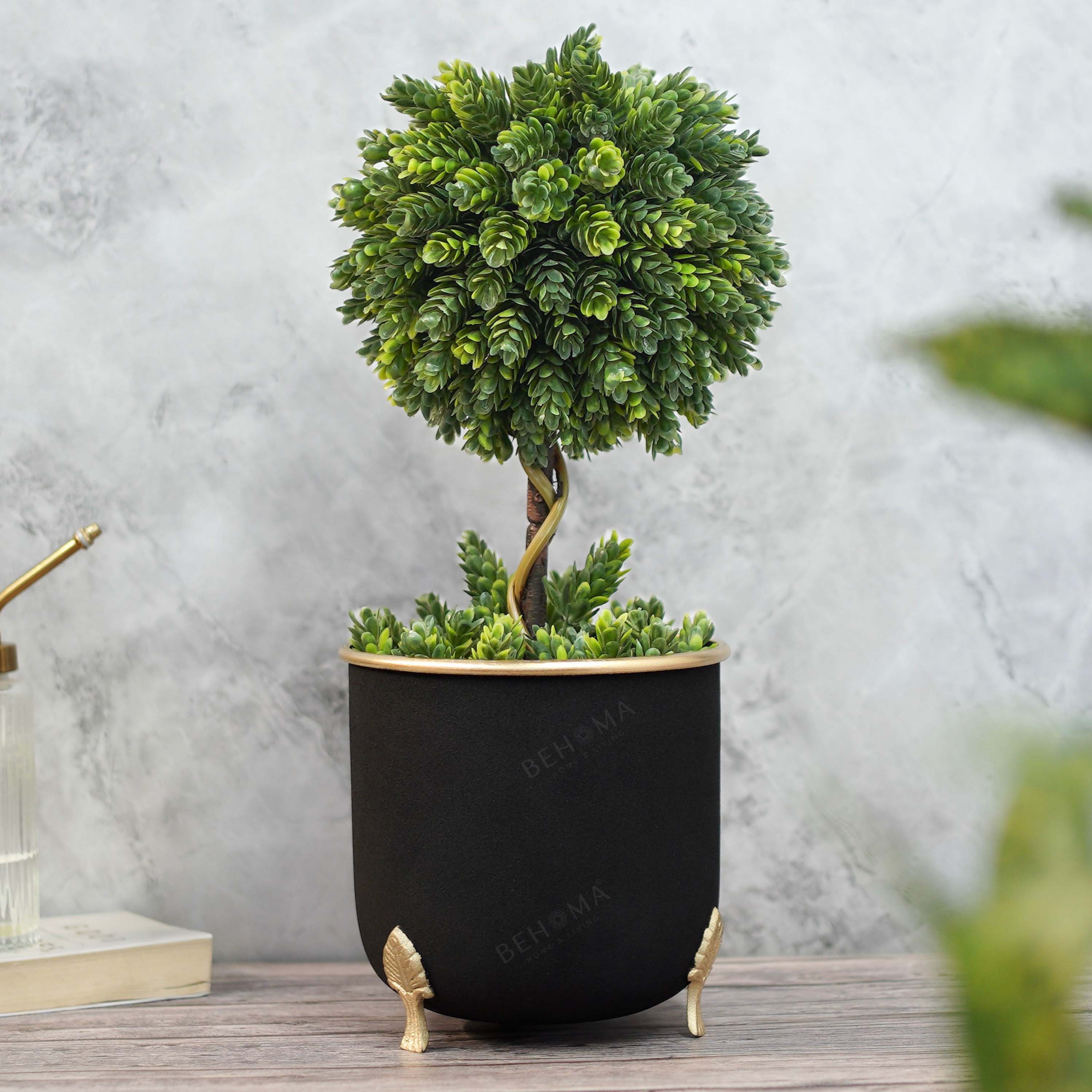 Leaf leg Metal Planter, Black (Pot Only)