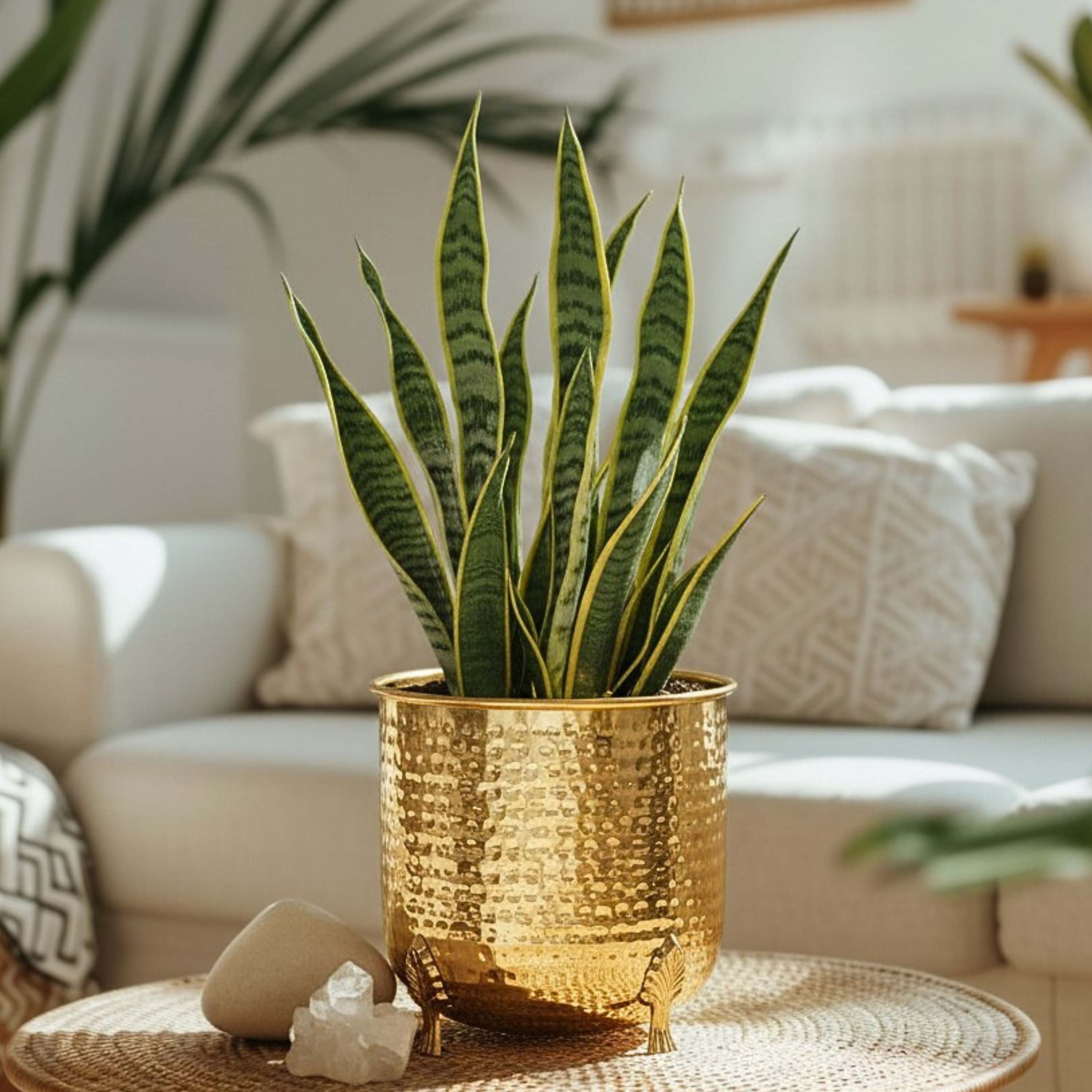 Leaf leg Metal Planter (Pot Only)