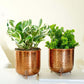 Leaf Leg Planter Set, Copper