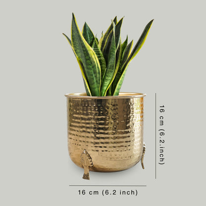Leaf leg Metal Planter (Pot Only)
