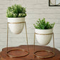 Metal Planter With Round White Stand, Set Of 2