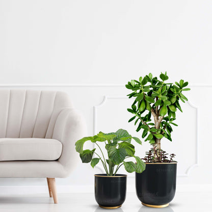 Floor Metal Planters, Set (Pot Only)