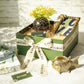 Palm Beach Gift Set