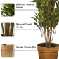 Green croton, Artificial Plant