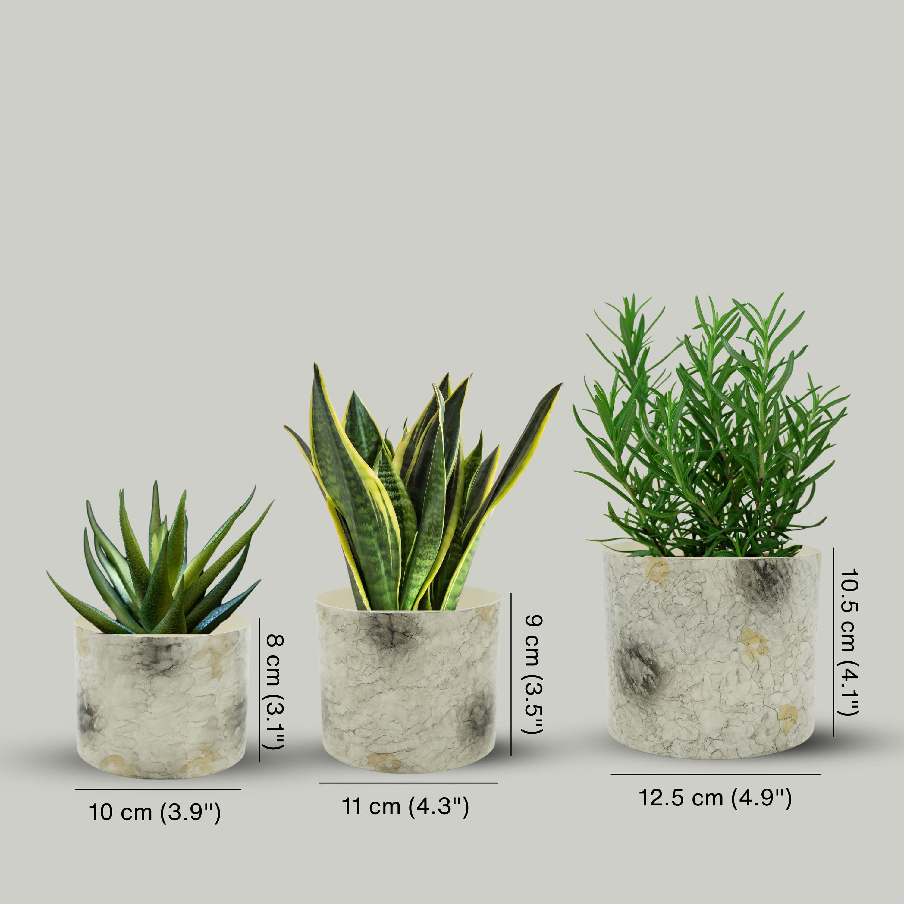 Off-White Mini Metal Planter (Pot Only)
