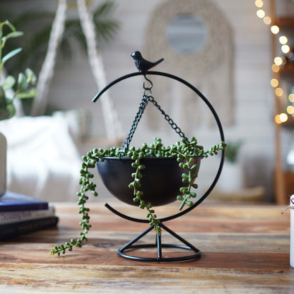 Bird Metal Planter, Black (Planter Only)