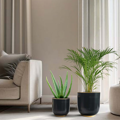 Floor Metal Planters, Set (Pot Only)