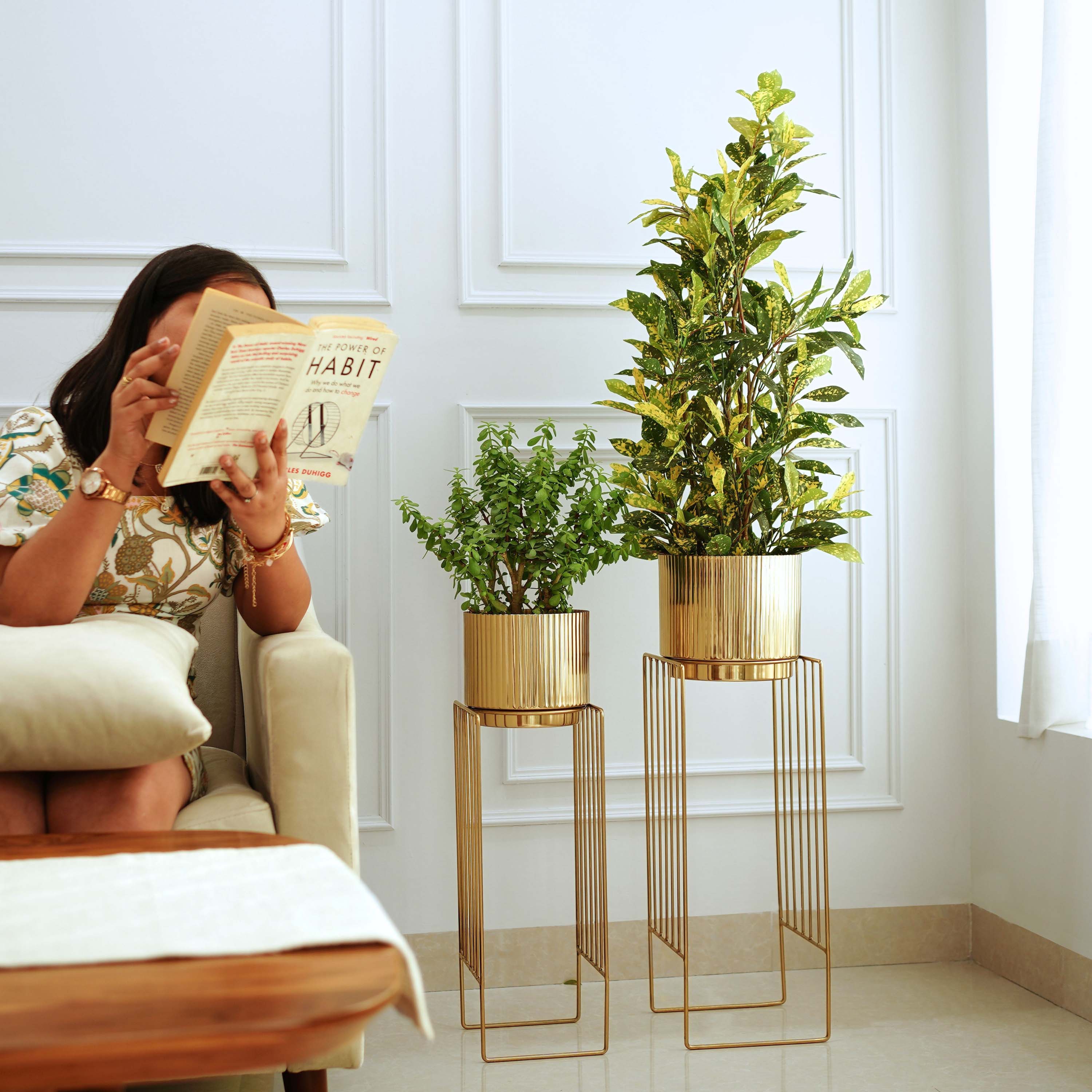 Tall Stand Fluted Planter, Set (Planter Only)