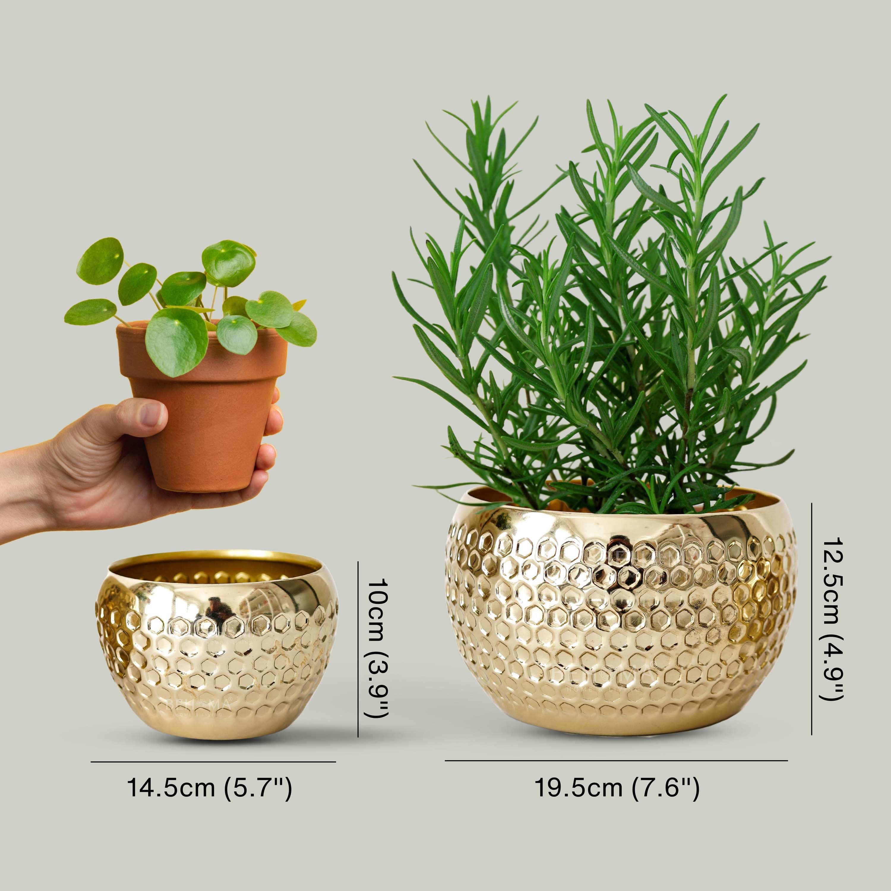 Honeycomb Metal Planter, Set (Pot Only)