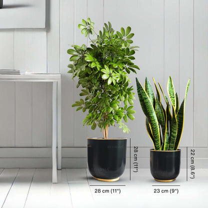 Floor Metal Planters, Set (Pot Only)