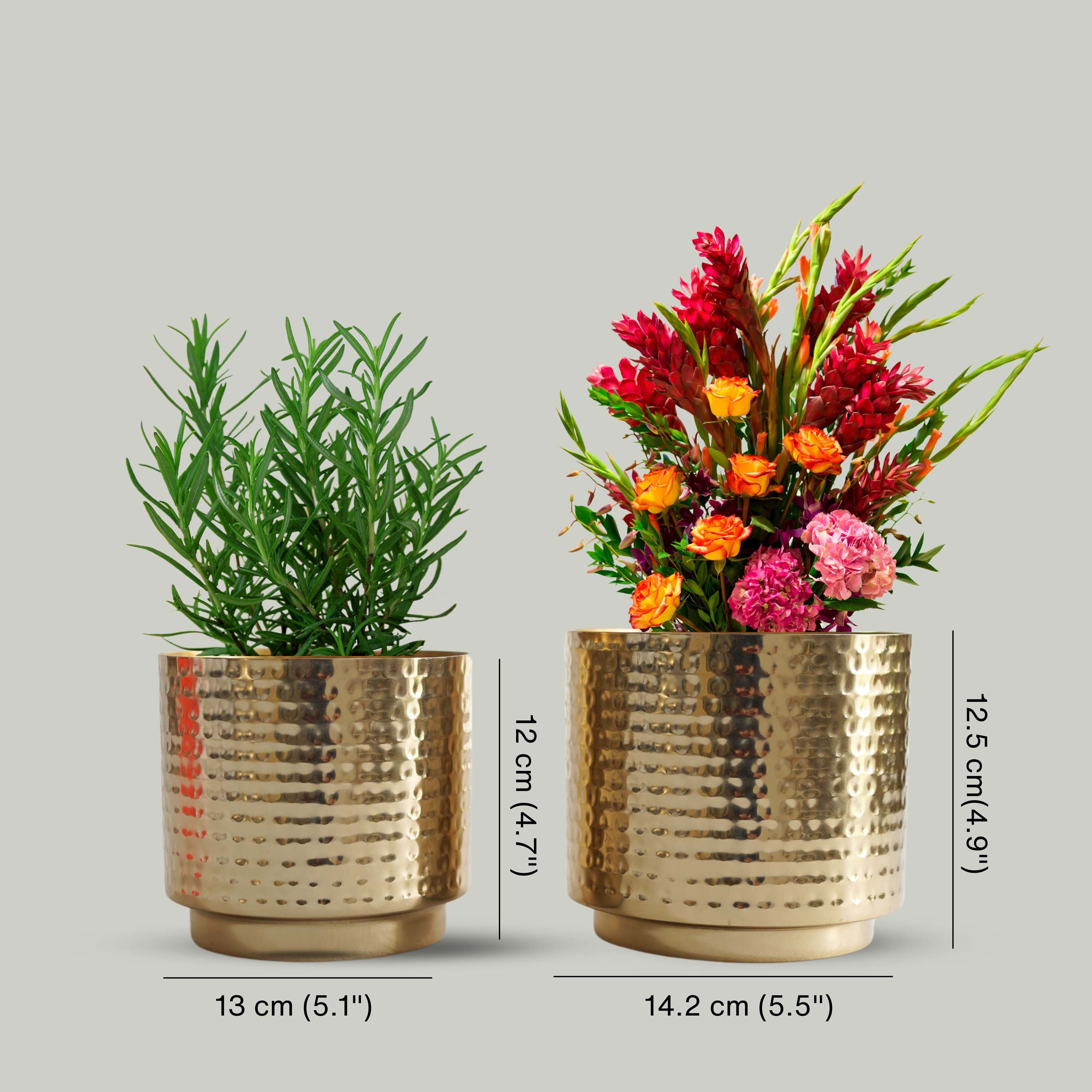 Table-top Metal Planter Set of 2 (Pot Only)
