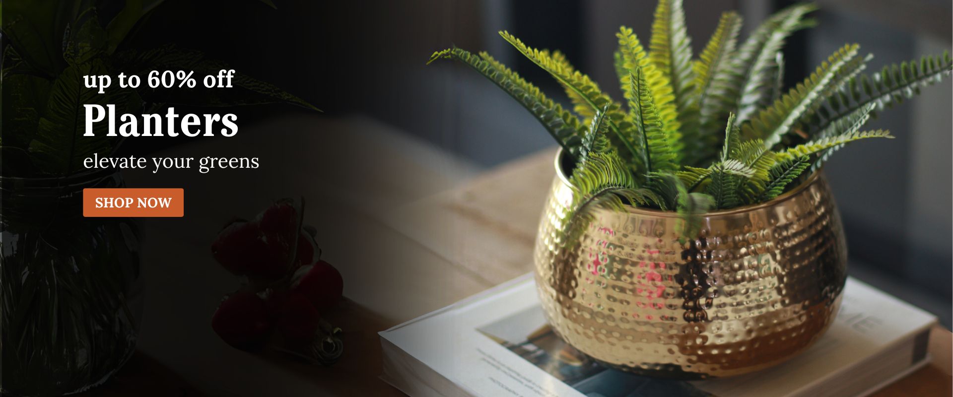 main-banner-slider-images