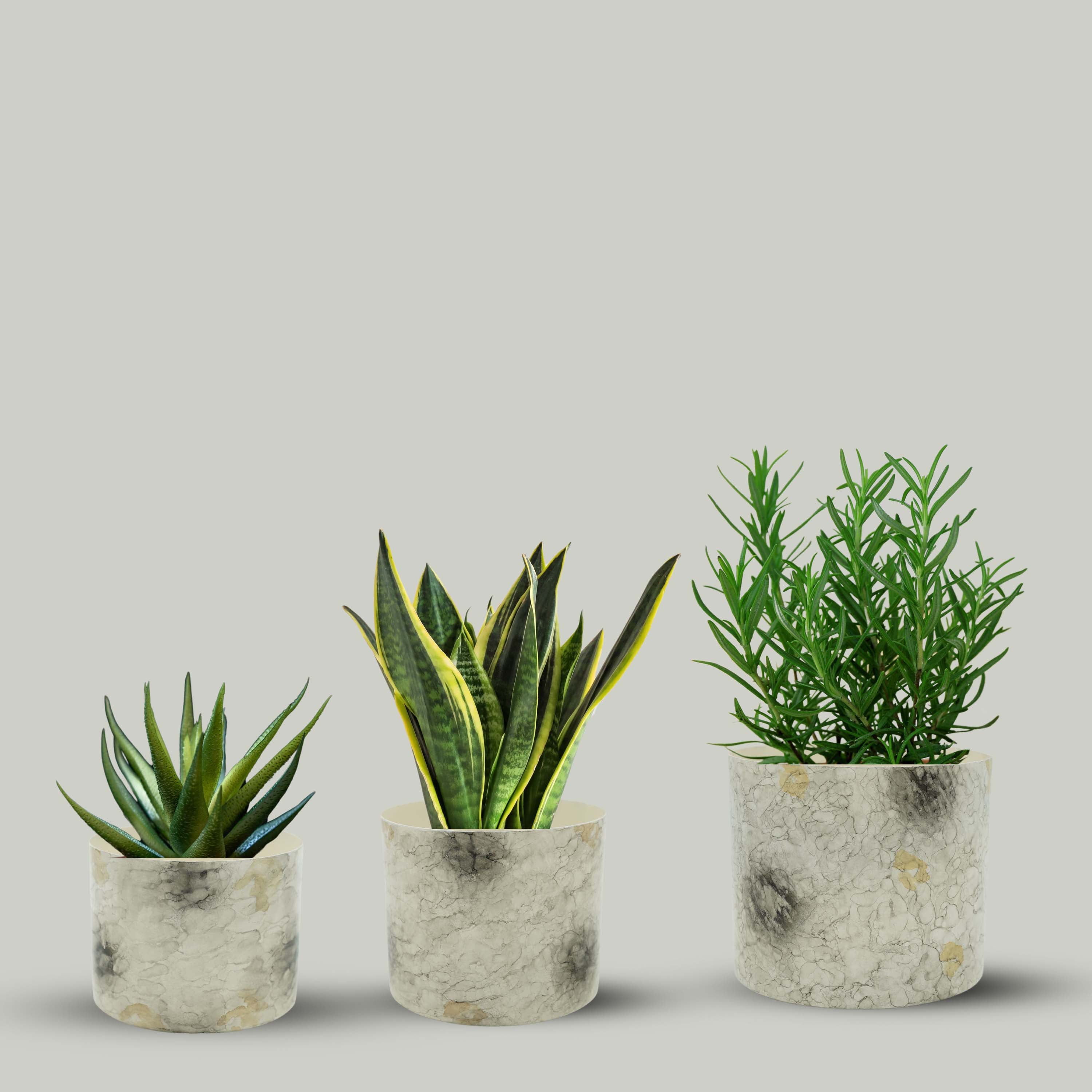 Off-White Mini Metal Planter (Pot Only)