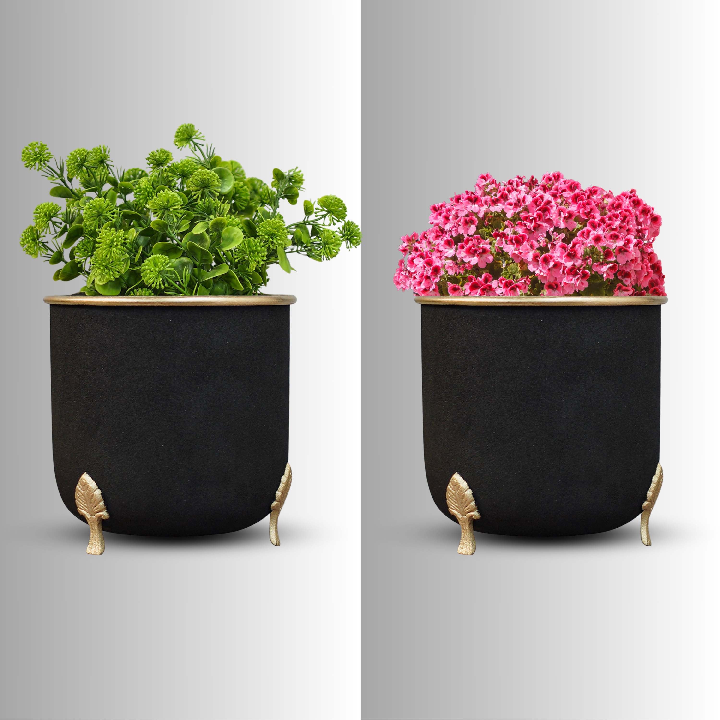 Leaf leg Metal Planter, Black (Pot Only)