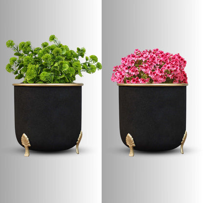 Leaf leg Metal Planter, Black (Pot Only)