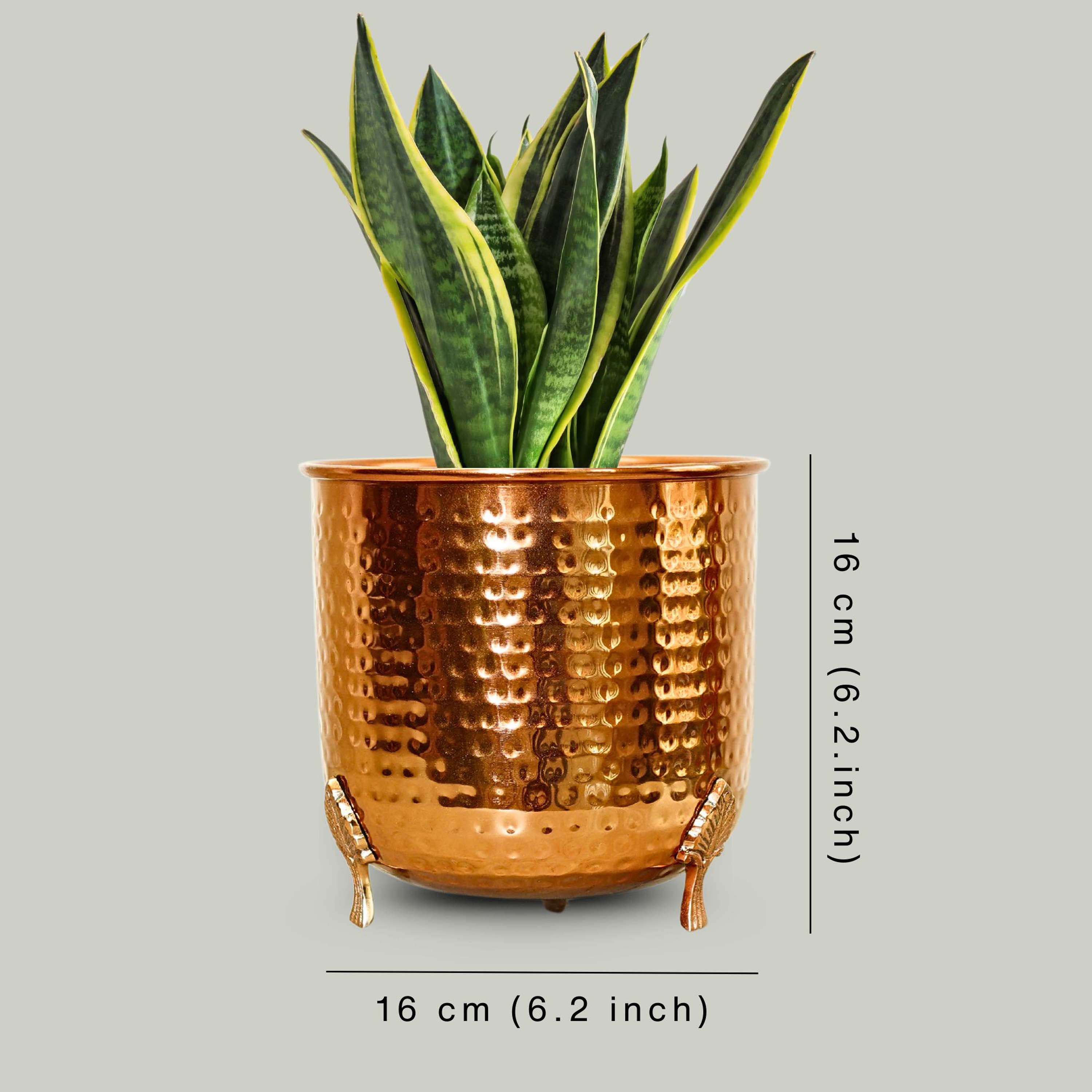 Leaf leg Metal Planter (Pot Only)