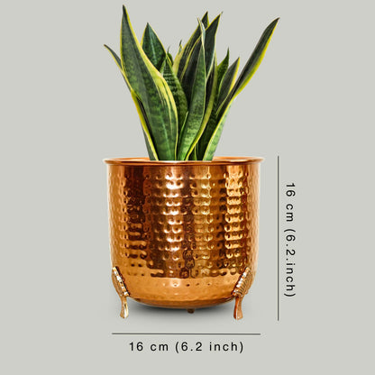 Leaf leg Metal Planter (Pot Only)