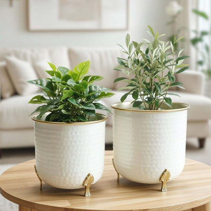 Gold Rim Leaf leg Metal Planter Set (Pot Only)