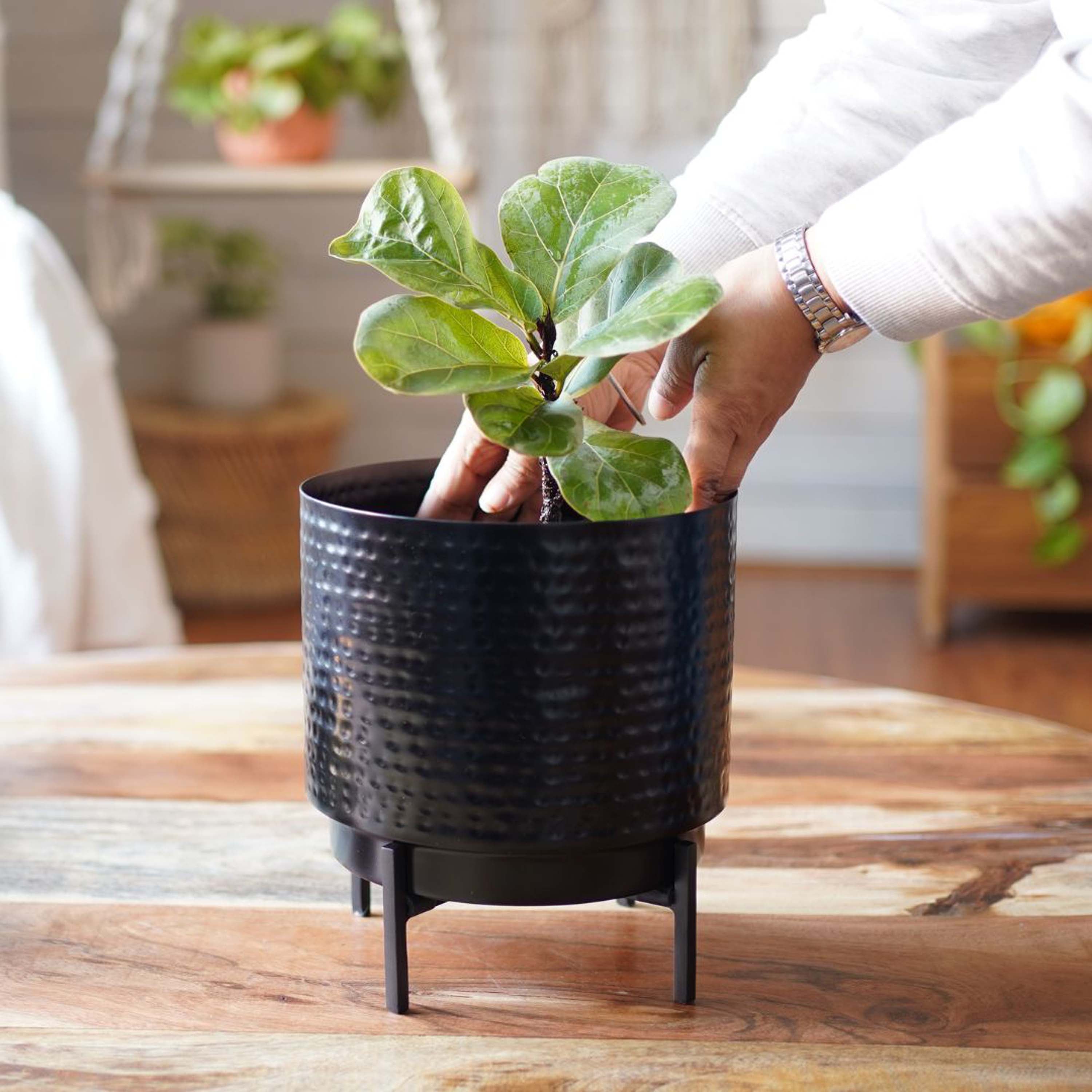 hammered metal plant pot Hammered Metal Planter, Large (Planter Only) – Behoma