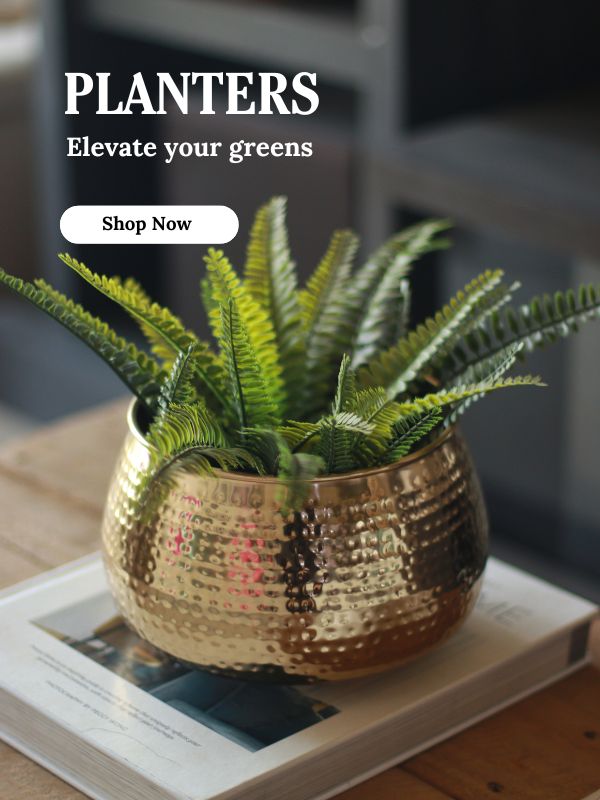 main-banner-slider-images