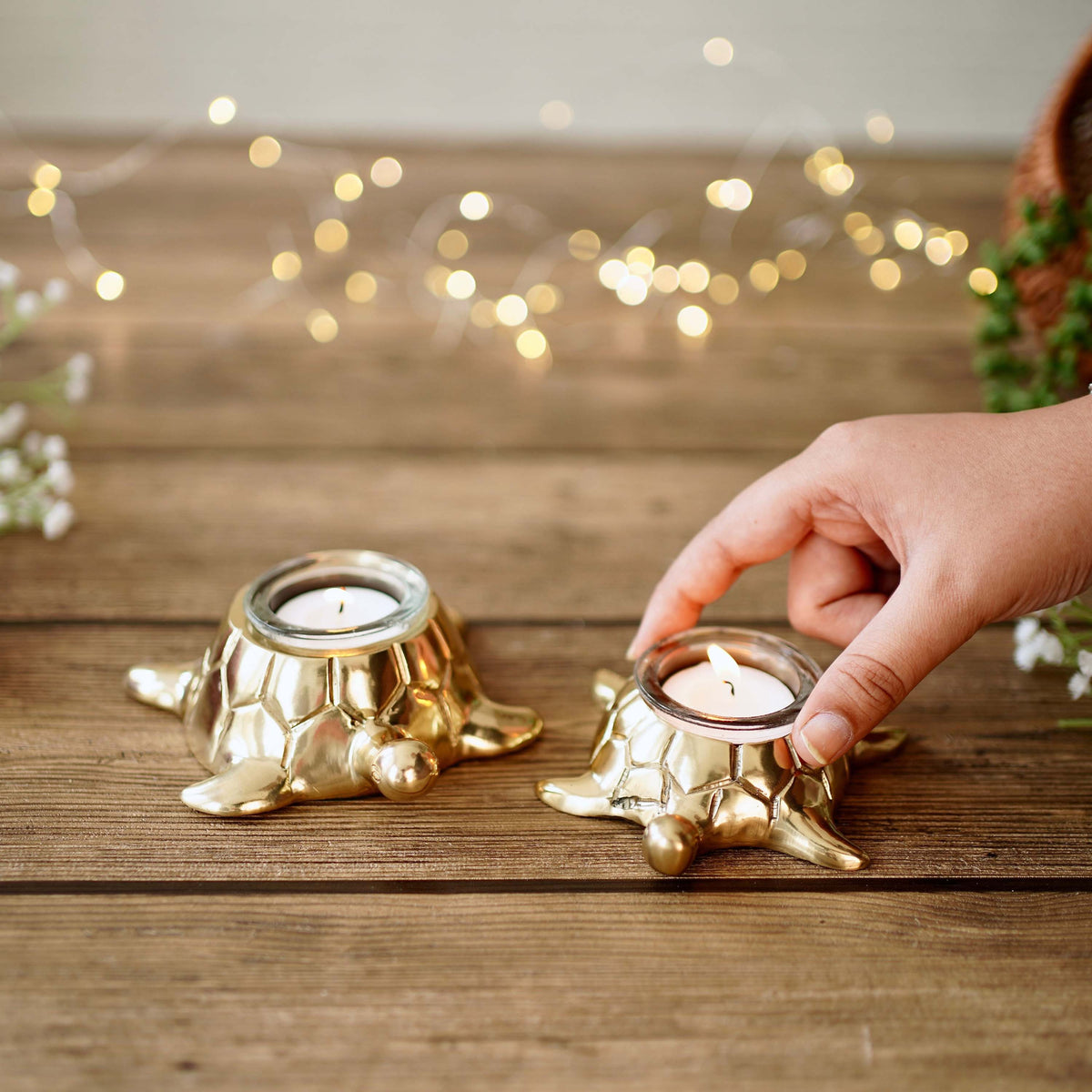 Turtle Tealight Holders