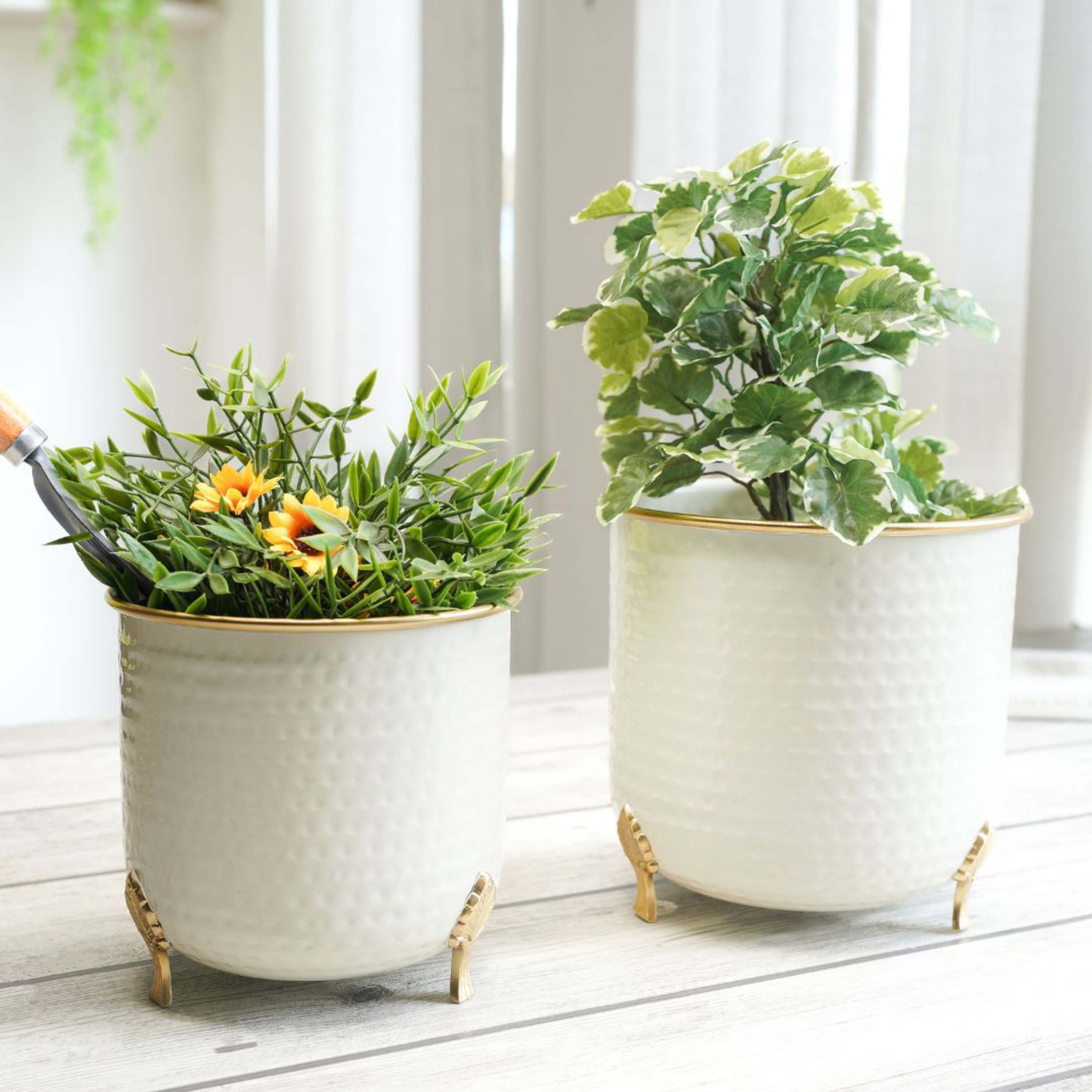 Gold Rim Leaf leg Metal Planter Set (Pot Only)
