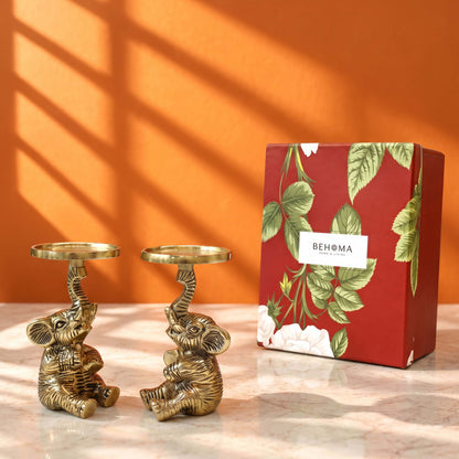 Elephant Duo Gift Box