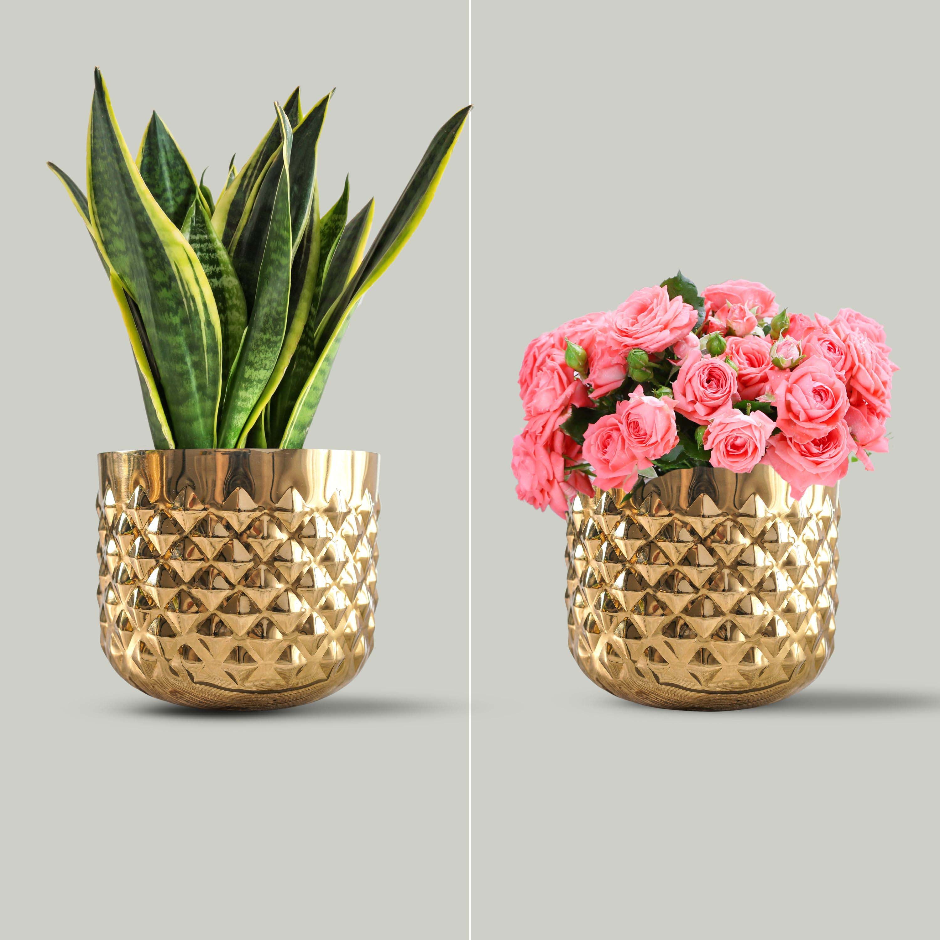 Pineapple Metal Planter, Set (Pot Only)