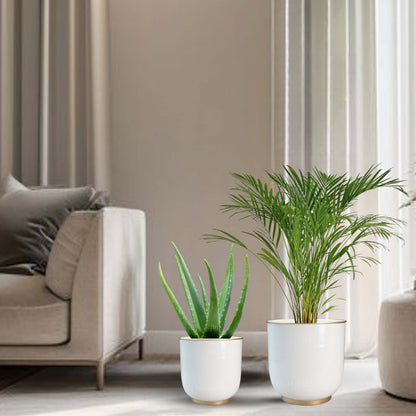 Floor Metal Planter, Set (Pot Only)