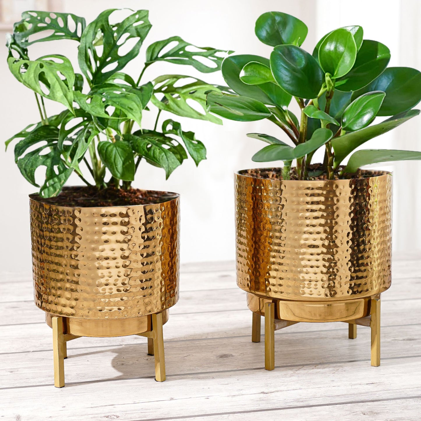 Elegance Metal Planter, Set - Behoma
