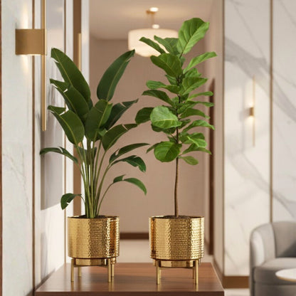 Elegance Metal Planter, Set (Planter Only)