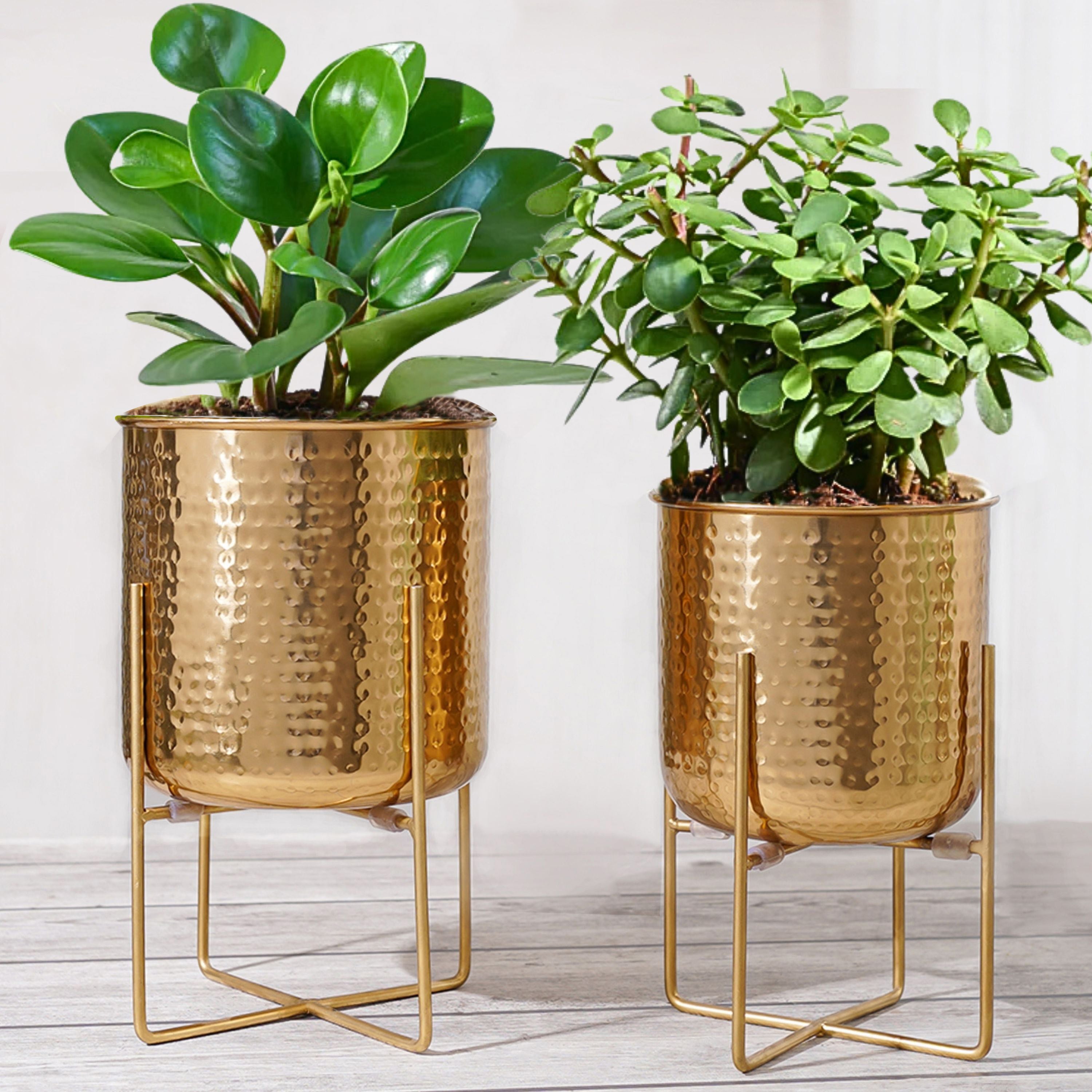 Golden Radiance Metal Planter Set - Behoma