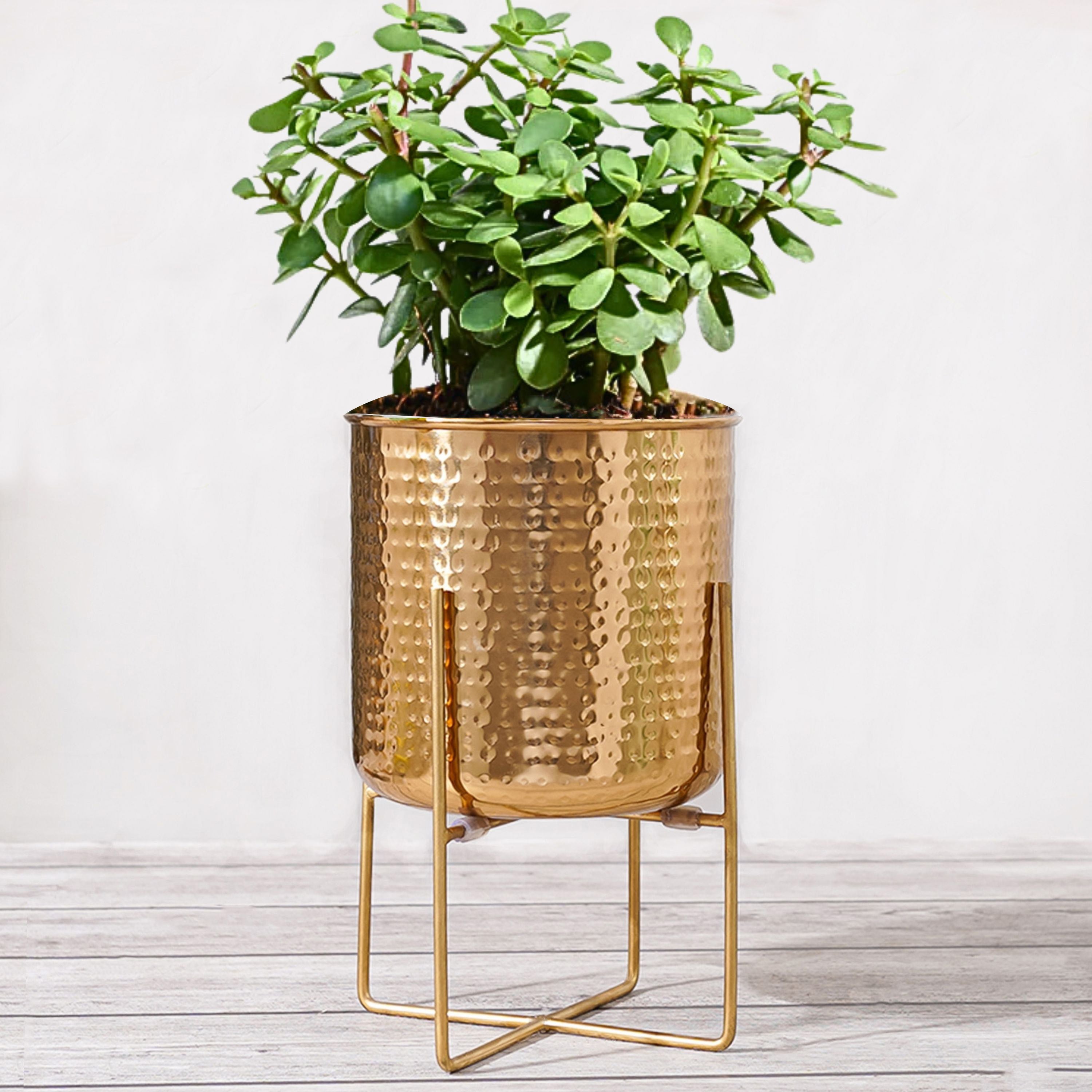 Hammered Metal Indoor Planter, 11 Inch Gold - Behoma