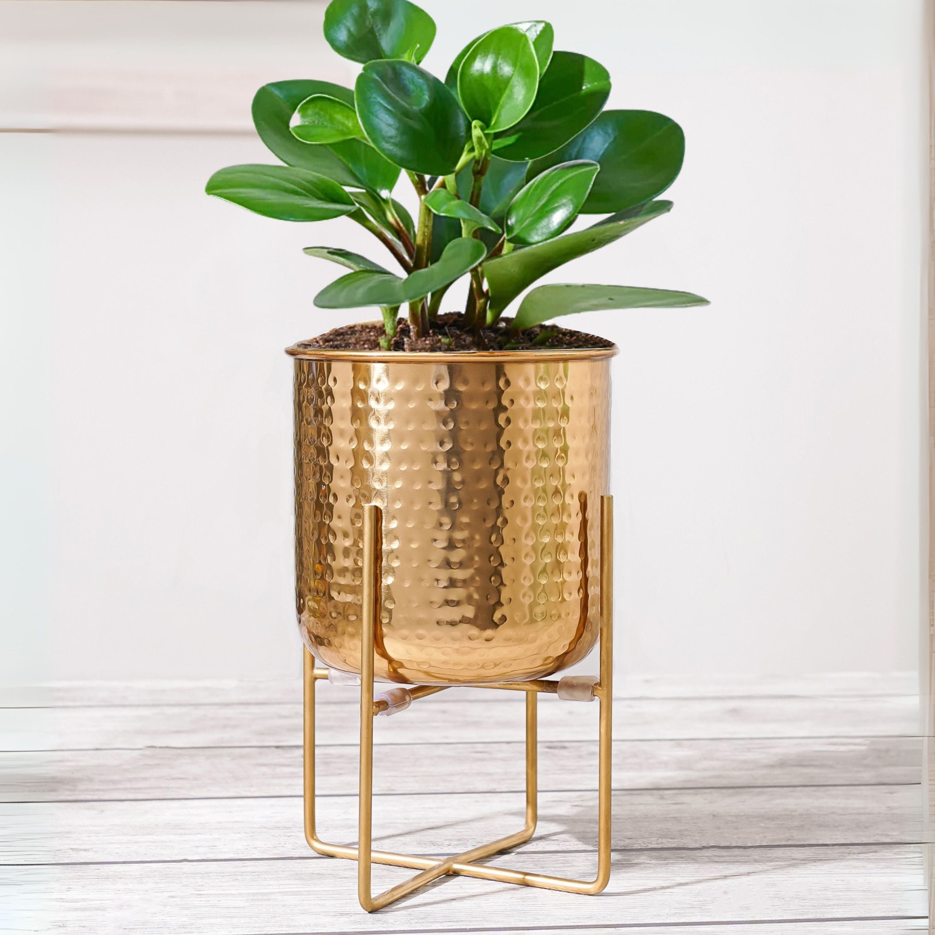 Hammered Metal Indoor Planter, 11 Inch Gold - Behoma