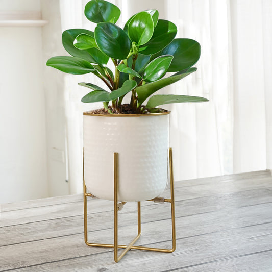 Hammered Planter Large 