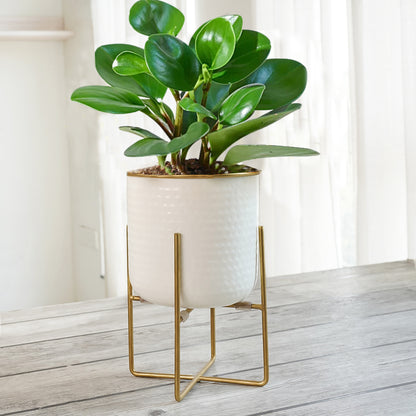 Hammered Planter Large 