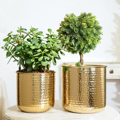 Hammered Metal Planter, Set