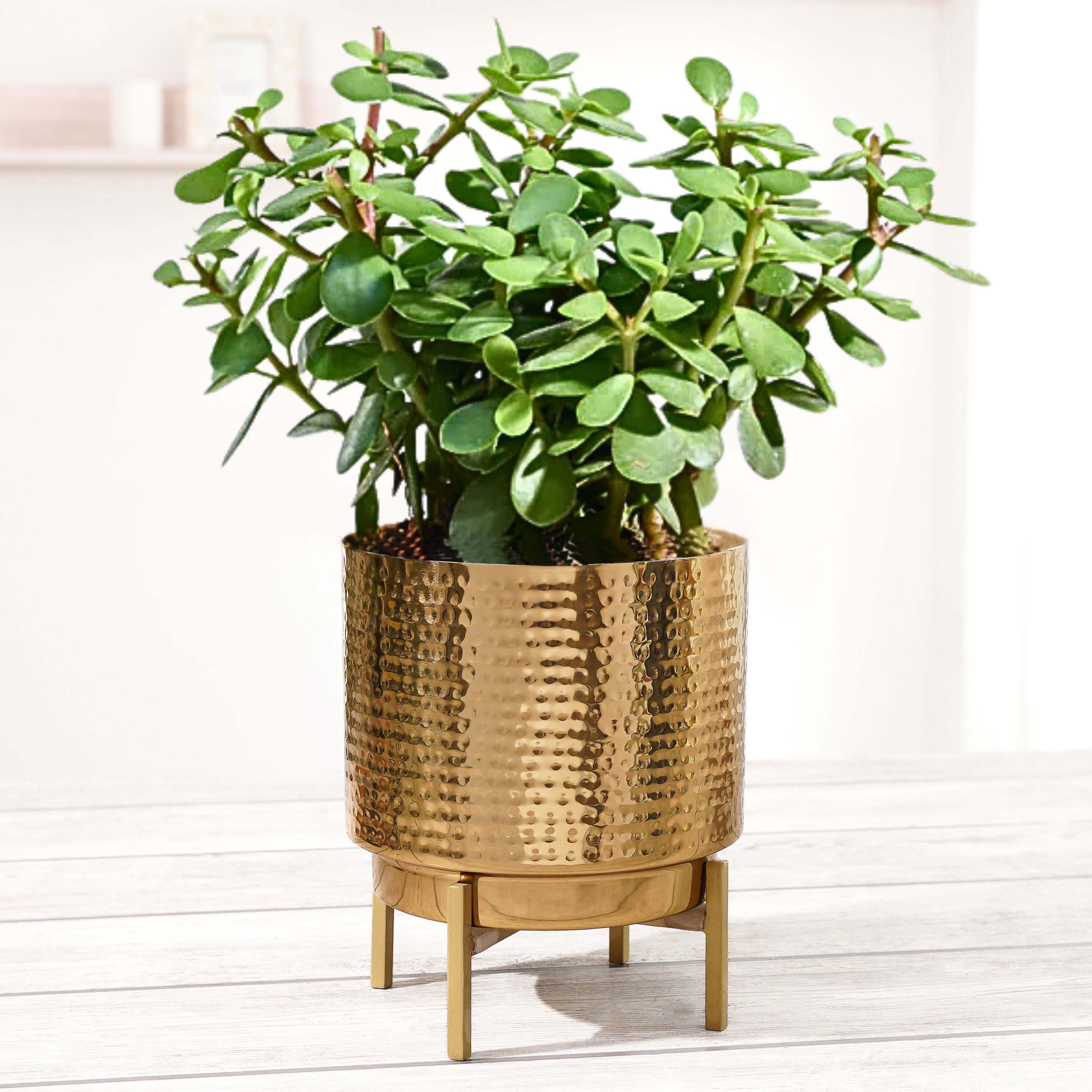 Hammered Metal Planter, Small - Behoma