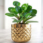 Pineapple Metal Planter, Gold - Behoma | Birthday Gift