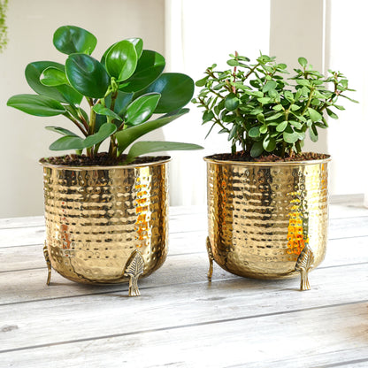 Leaf Leg Metal Planter, Set - Behoma