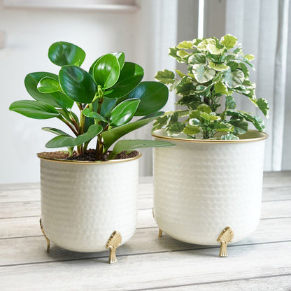 Gold Rim Leaf leg Metal Planter Set