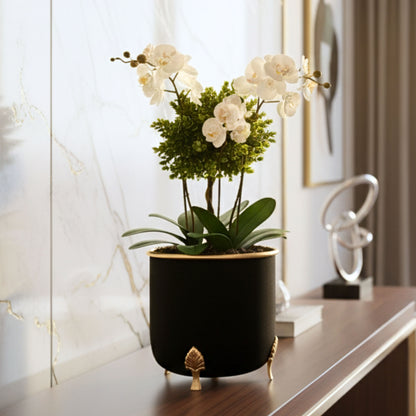 Leaf leg Metal Planter, Black (Pot Only)