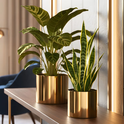 Mini Table-top Metal Planter, Set (Pot Only)