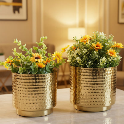Table-top Metal Planter Set of 2 (Pot Only)
