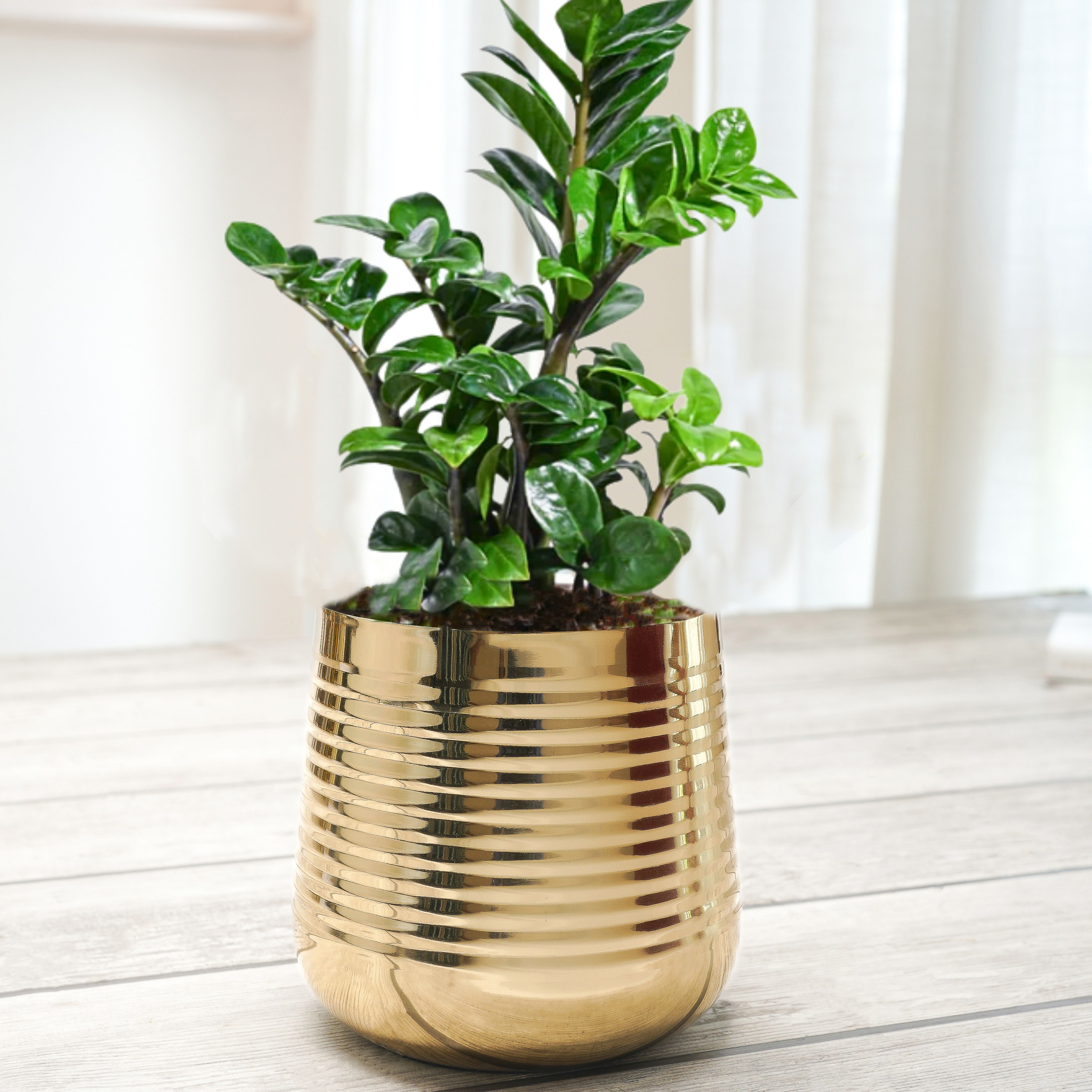 Ribbed Metal Planter, Small - Behoma