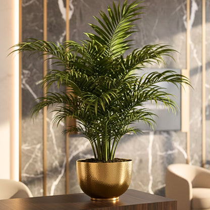 Elegant Bowl Metal Flower Vase