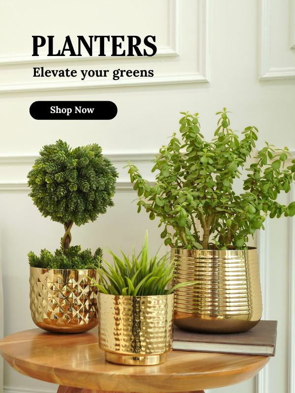 main-banner-slider-images