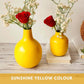 Metal Vase, Birthday Gift Set